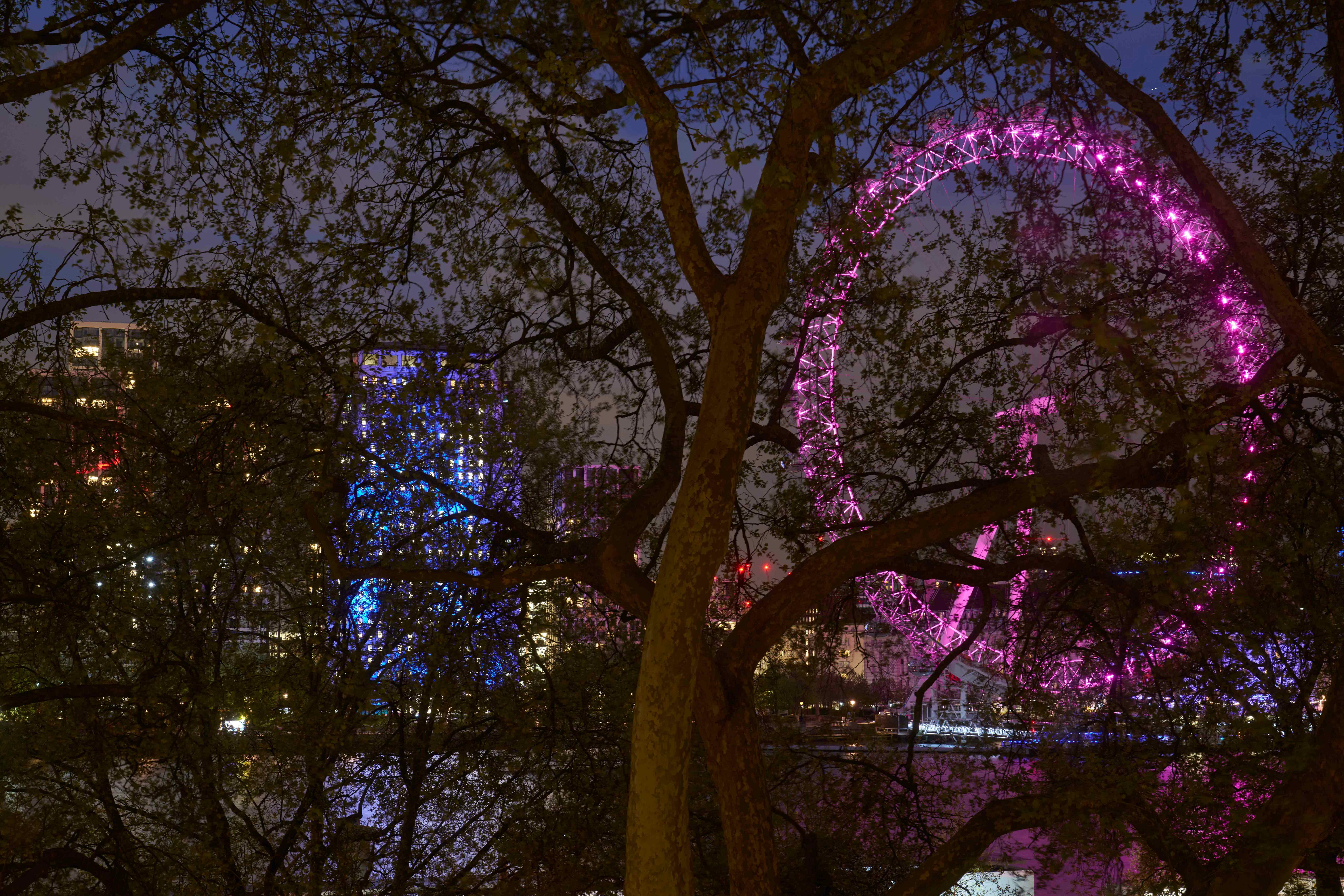 The Royal Horseguards